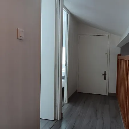 Moderne Entre Foret Et Ocean A - Fr-1-239-1112 *