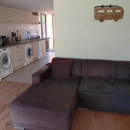 Moderne Entre Foret Et Ocean A - Fr-1-239-1112 *