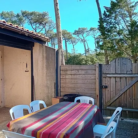 Moderne Entre Foret Et Ocean A - Fr-1-239-1112 * Seignosse