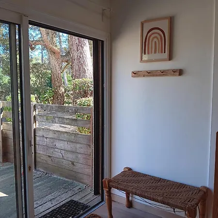 Moderne Entre Foret Et Ocean A - Fr-1-239-1112 Seignosse