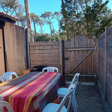 Moderne Entre Forêt Et Océan à - Fr-1-239-1112 *